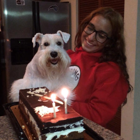 Milo's Second Birthday Celebration